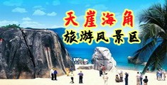 黑丝操逼视频网站91海南三亚-天崖海角旅游风景区